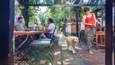 UK’s most dog-friendly pub announced