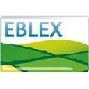 EBLEX trade is now on Twitter and Facebook