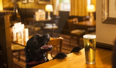 Dog-friendly pub competition heats up
