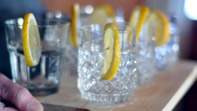 On the up: gin sales have grown more than any other spirit sold in the UK in the past year.