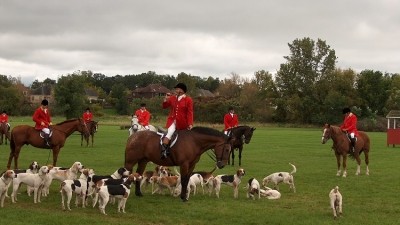 Annual hunt: Grove and Rufford Boxing Day Hunt usually takes place in neighbouring Bawtry but was moved after the outcome of a vote by the town's council
