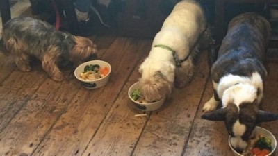 Full dinner: the pub's doggy dish includes meat, vegetables and gravy