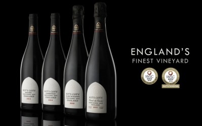 Celebration: awards were given to wines from the Chapel Down’s single vineyard estate Kit’s Coty in Kent