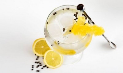 Recipe for success: three ideas for the perfect gin and tonic