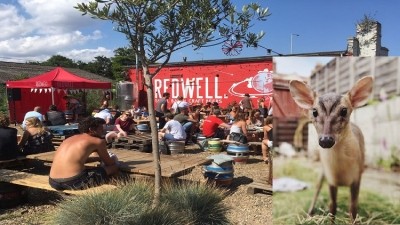 Precious times: Redwell Brewery opened its doors to raise money for the release of Frodo the fawn