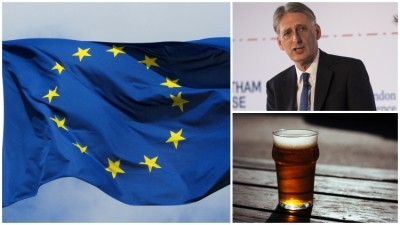 Euro block: European Union regulations have prevented a quarter of pubs eligible for Philip Hammond's discounted business rates from claiming support