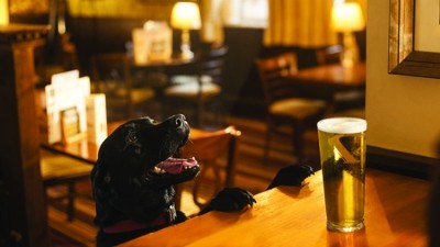 Sniffing out the competition: DogBuddy is searching for the country’s most dog-friendly pub