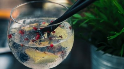 Gin-credible: new figures show the flavoured gin market has grown by a whopping 751%