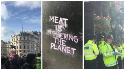 Regular for Westminster: how have pubs been impacted by the Extinction Rebellion demonstrations? 