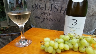 On the grapevine: according to WineGB the English wine industry could add 30,000 jobs and £658m per annum by 2040