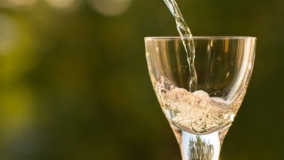Soaring: English sparkling wine accounts for 66% of all English and Welsh wine produced