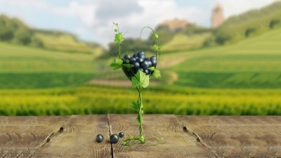 On the grapevine: how wine can become your point of difference versus your rivals