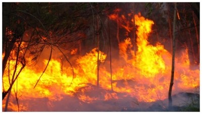 Australia ablaze: pubs are raising money to help fight the wildfires in Australia (image credit: flickr.com/bertknot)