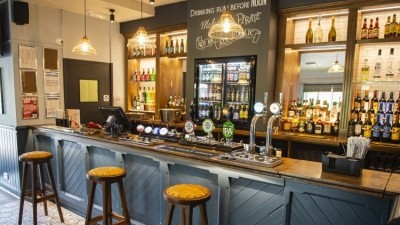 The Norfolk Terrier: New Hive Pub site launched by Greene King