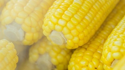 Corn concern: the FSA says frozen sweetcorn is the likely source of an ongoing outbreak of listeriosis across Europe