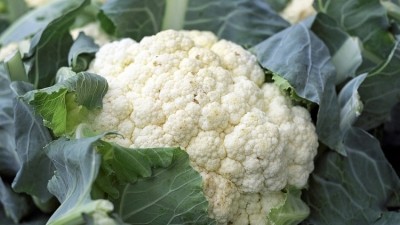 Impact on pubs: cauliflowers are in short supply after this year's yield was impacted by heavy rain