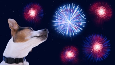 Silent show: publican aims to lessen distress to animals caused by loud fireworks