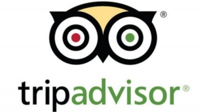 Tell me why: TripAdvisor users have given a plethora of reasons they visit the review site