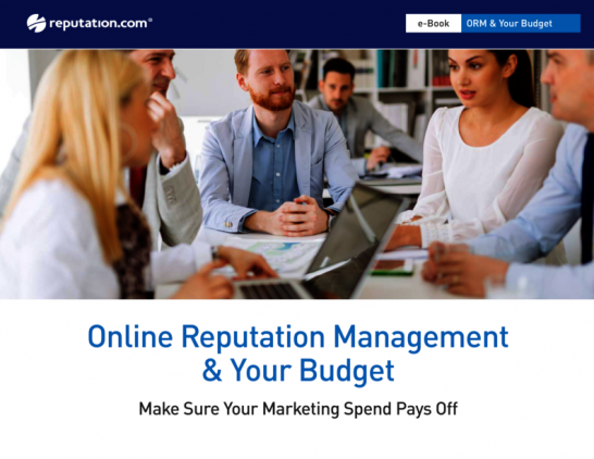 eBook: Online Reputation Management & Your Budget