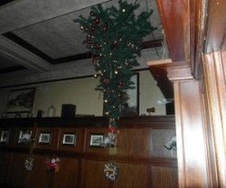 Quirky: Royal Hotel licensee Dave Ingram hopes his tree will bring in more money this Xmas