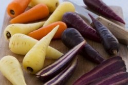 Freshgro: launched purple and white Chantenay carrots