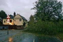 The Castle in Donnington, West Berkshire, narrowly escaped being hit by a falling tree