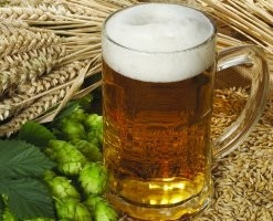 Scheme: the Grain to Glass drive urges support for pubs