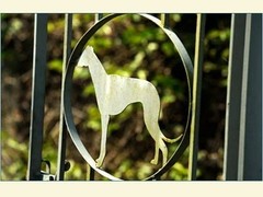 Greyhound: under new ownership