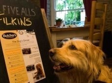 Dogs can choose from a range of tasty treats from the new menus at two Brakspear pubs