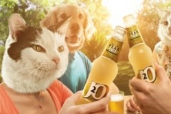 Britvic will be giving away prizes as part of the "kitty" campaign