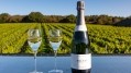 Freixenet Copestick acquires Bolney Wine Estate: A new chapter for the English sparkling wine estate 